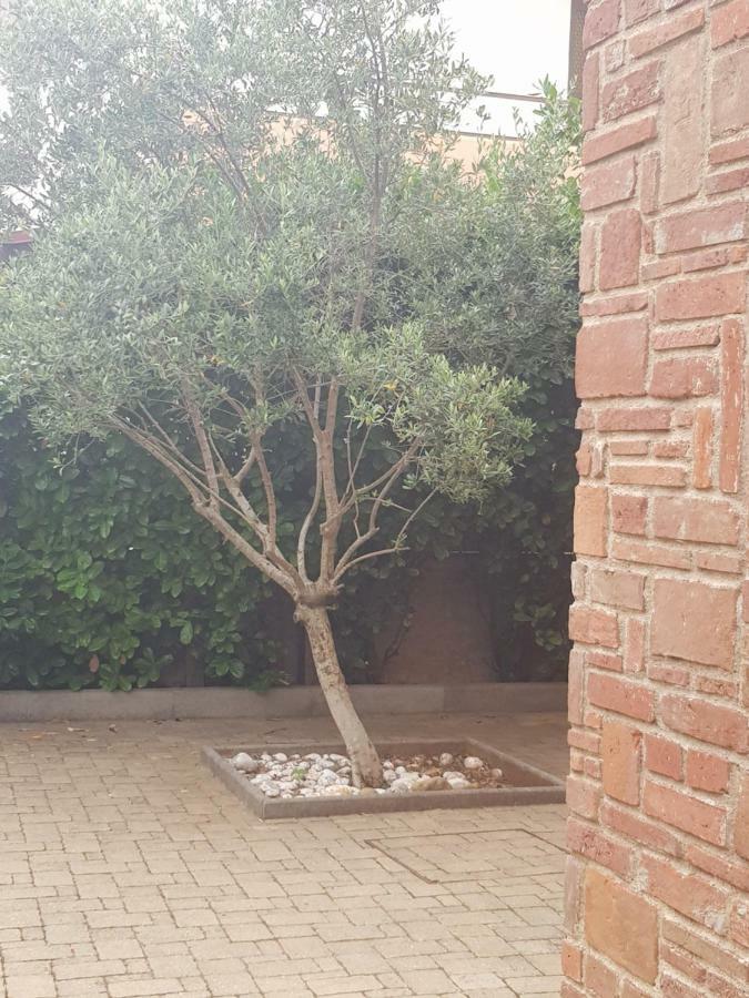 Allure Apartment Kornić المظهر الخارجي الصورة